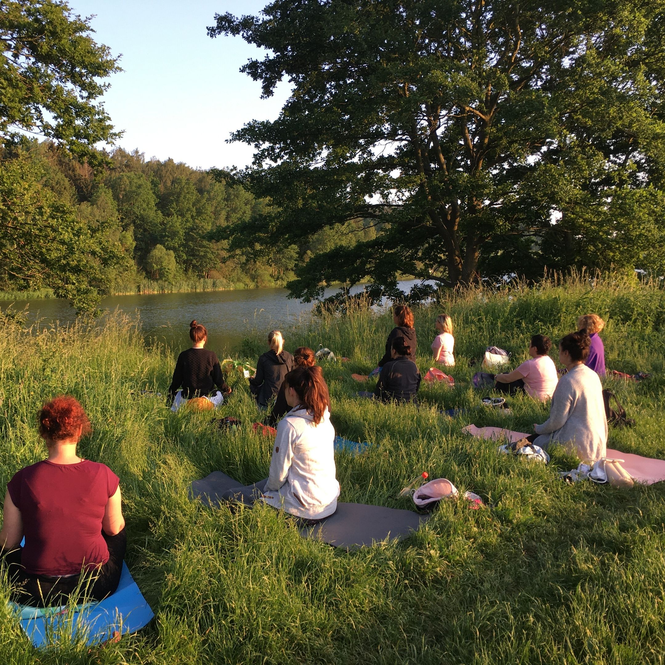 Meditation und Yoga in der Natur