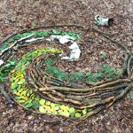 yoga-wochenende-in-der-naehe-thueringen