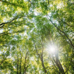 Yoga Wochenende Sommer Feeling