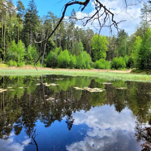 see-rosen-teich-yoga-retreat