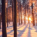 Yogawochenende Winter Warmer November