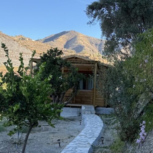 Casa Pato Citrus