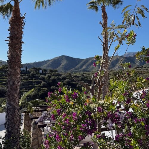 Yoga Urlaub Andalusien