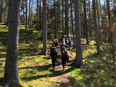 Yoga und Wandern Thüringen